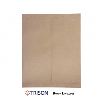 Trison Brown Envelopes 10x8 inch (Pack of 100)