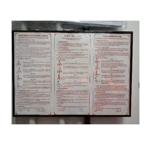 Electrical Shock Treatment Chart (300x450x8mm) Photo Frame