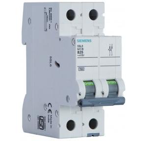 Siemens Betagard  5SL62106RC  10A 2P MCB