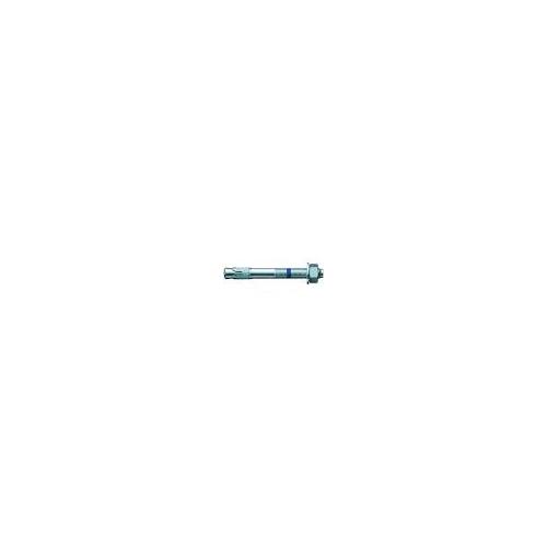 Anchor Fastener Bolt Size 10x200mm