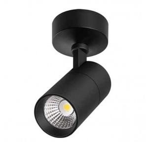 Philips LED Black Surface Spot Light EcoLink 12W (Natural White)