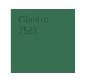 Asian Paints Apex Cilantro Paint Water Based Color Code: 7581, 1 Ltr