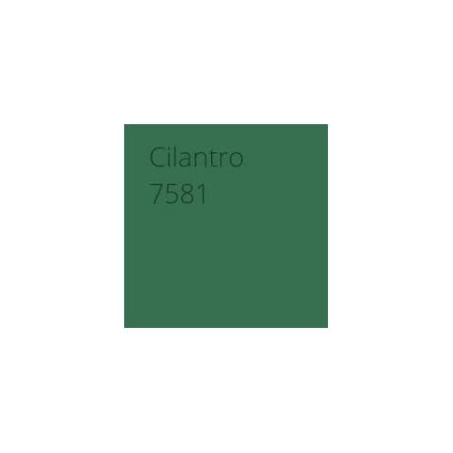 Asian Paints Apex Cilantro Paint Water Based Color Code: 7581, 1 Ltr