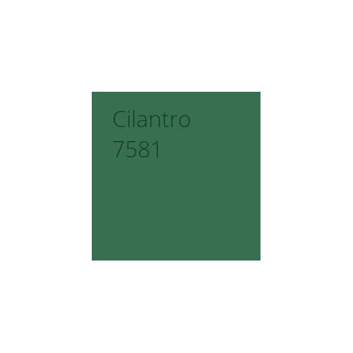 Asian Paints Cilantro Water Based Paint Colour Code: 7581, 1 Ltr