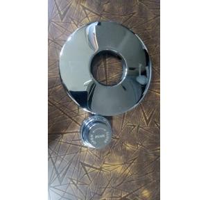 Parryware Flush Valve Button and Plate 40 MM