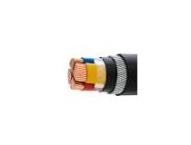 Polycab Copper Armoured XPLE Power Cable 10 Sqmm 4 Core 1 Mtr