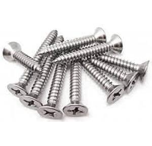 SS Self Tapping Screw 18mm (Pack of 100 Nos)