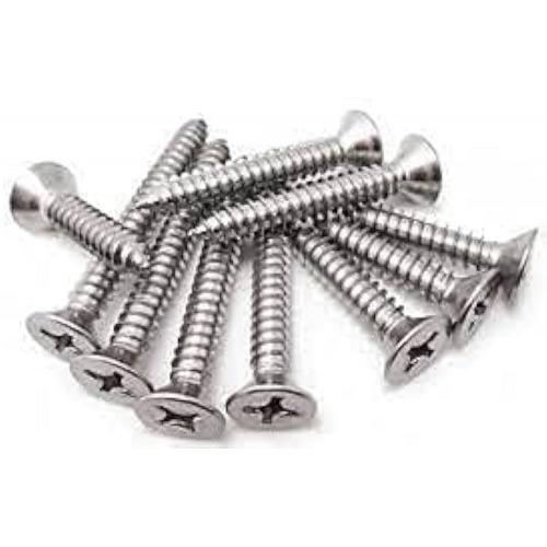 SS Self Tapping Screw 18mm (Pack of 100 Nos)