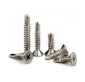 Screw SS Self Thread Drilling 1 Inch Pack of 200