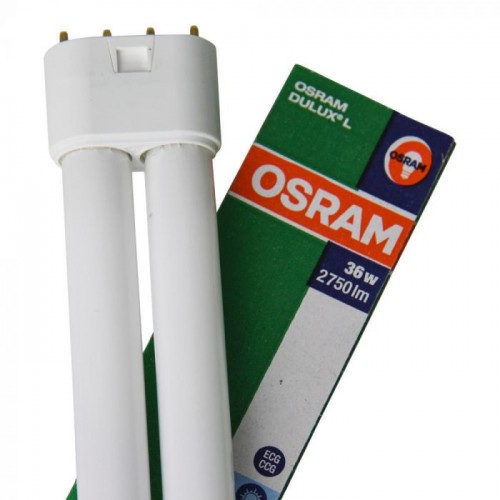 Osram Tube Light 4 Pin 36W Cool White 6500K