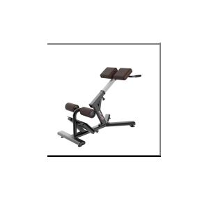 Fitline Elite Roman Chair Back Extension Net Weight 44 Kg Dimensions 1203x695x866 MM