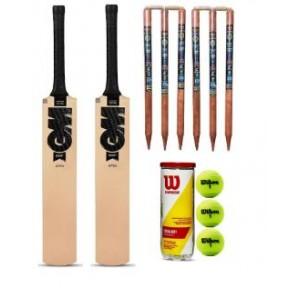 Cricket Essentials Set With 2 Apex Wooden Bat, 3 Wilson Tennis Ball Pac, 1 Wicket Wooden With Base & Bails Set