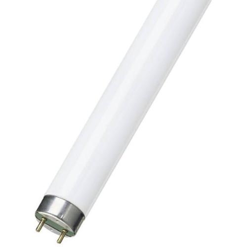 Avro LED Tubelight UVA Tubes For Flykil Lite White 15W 18 Inch