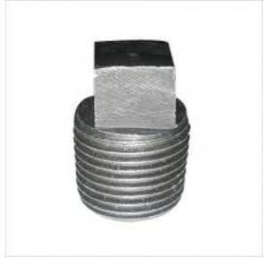 Dummy Plug GI Size1/2 Inch