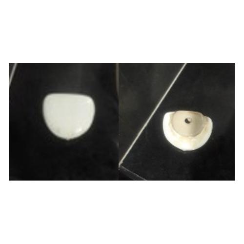 Urinal Bowl
