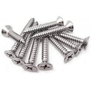 Drilling Screw Stainless Steel 6x19 MM Trickle Truss Head Self Pack of 250