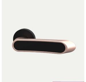 Godrej Baby Latch 3547 Popular Mortise NEH 21 Matte Black Rose