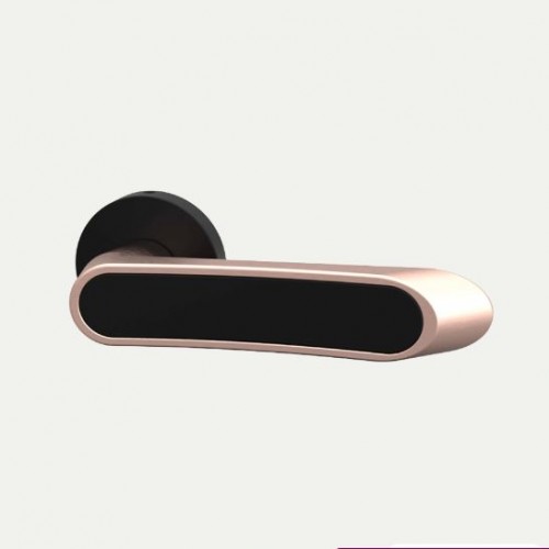 Godrej Rose Door Handle 3551 Popular Mortise NEH 21 Matte Black Rose