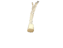 Tube Holder 4 Pin For 8 Watt