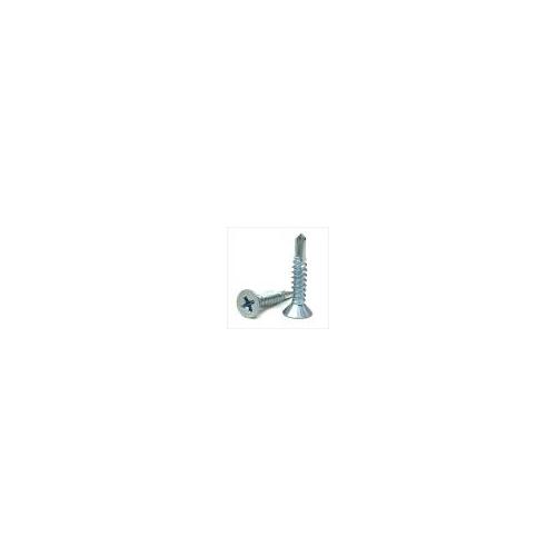 Screw SS Size 19 mm Pack of 100