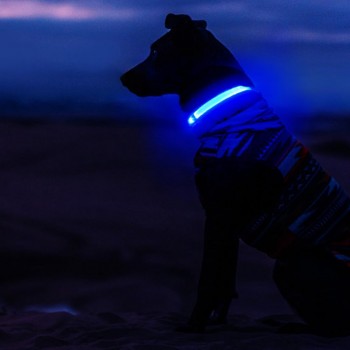 Pawxie Dog Collar Reflective Comfortable Adjustable Size For 24-35 kg Blue Large