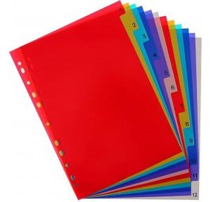 File Separator 1 to 12 Synthetic