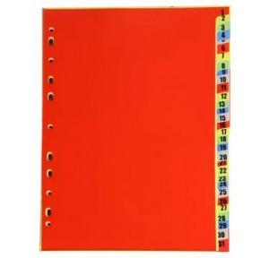 File Separator 1 to 31 Synthetic