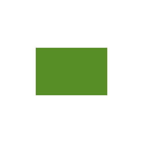Chart Paper- Green