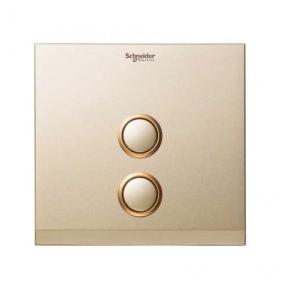 Schneider 2 Gang Switch Coverplate Champagne Gold UC22SWXCG