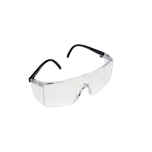 3M 1709IN Plus Safety Goggles