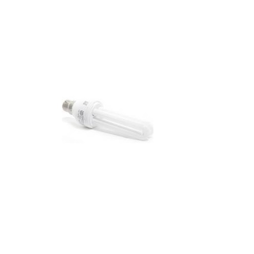 Surya 14W CFL Bulb