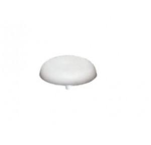 Ebco 20 mm Philips Head Screw Cap, PF-F Pack of 200 Pcs