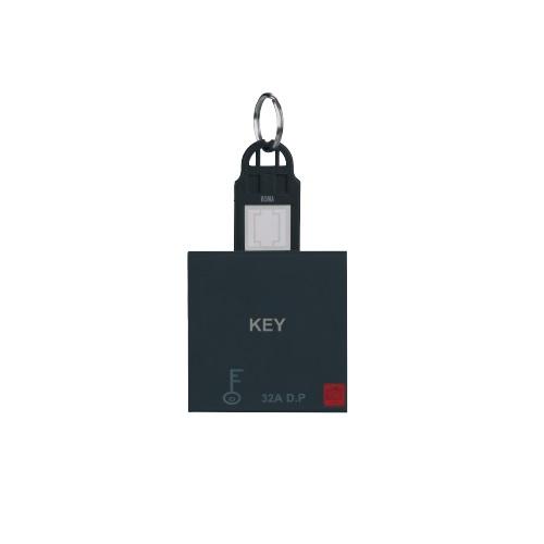 Anchor Roma Classic 32A DP Main Switch with Key Ring Tag, 21770MB