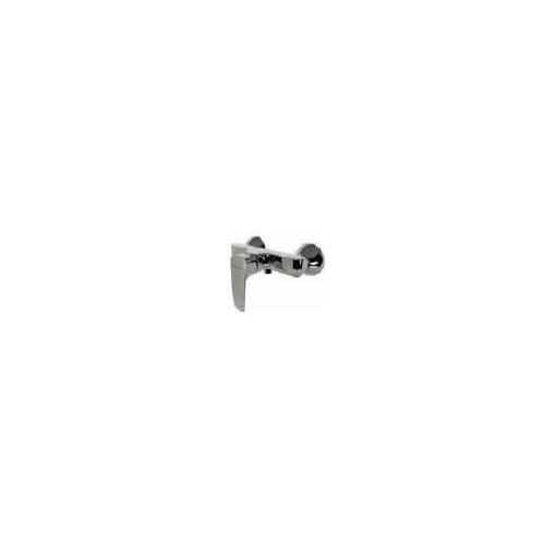 Parryware Wall Mounted Shower, T4058A1