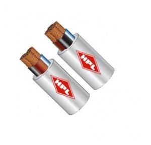 HPL 10 Sq mm PVC Insulated and Sheathed Cables, HMI4C 001000100 (100 mtr)