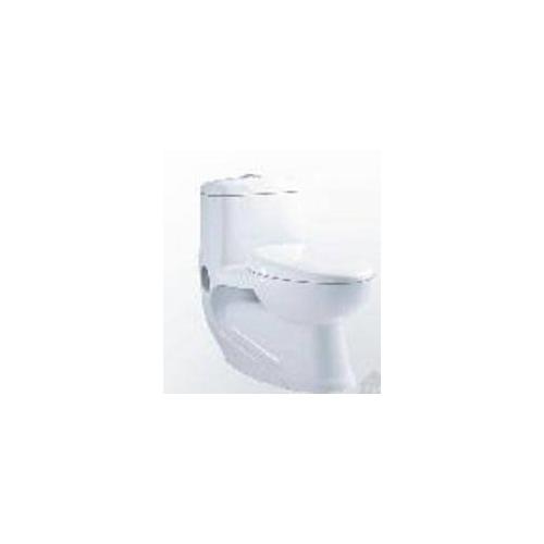 Parryware Monarch Single Piece Suite, C849D