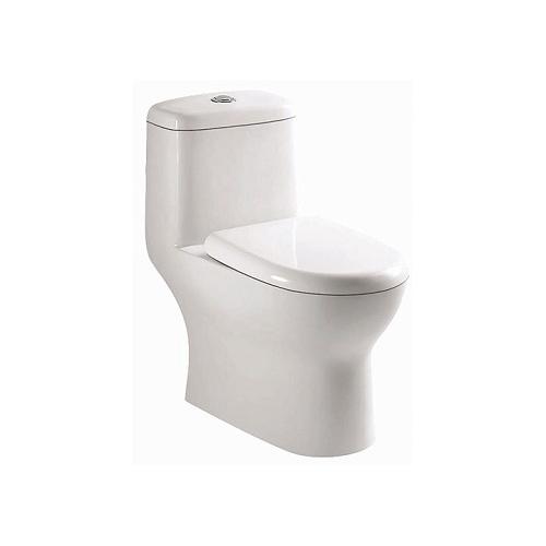 Parryware Prince Single Piece Suite, C849N/O/P