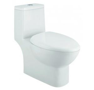 Parryware Flair Single Piece Suite, C8815