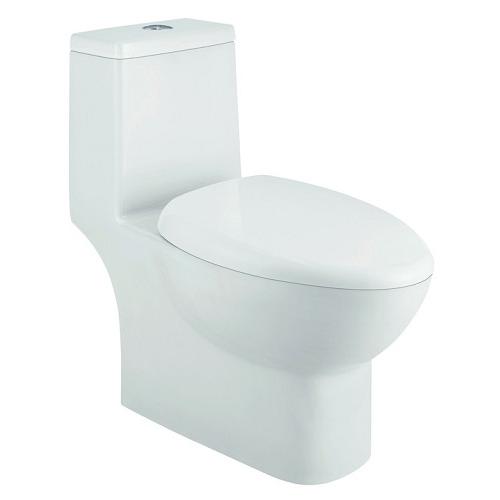 Parryware Flair Single Piece Suite, C8815 