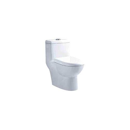 Parryware Entice Single Piece Suite, C847K