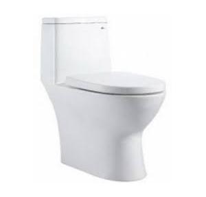 Parryware Crescent Single Piece Suite, C849E
