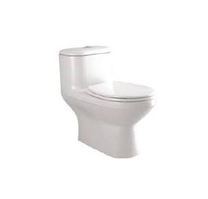 Parryware Sofia Single Piece Suite, C841D