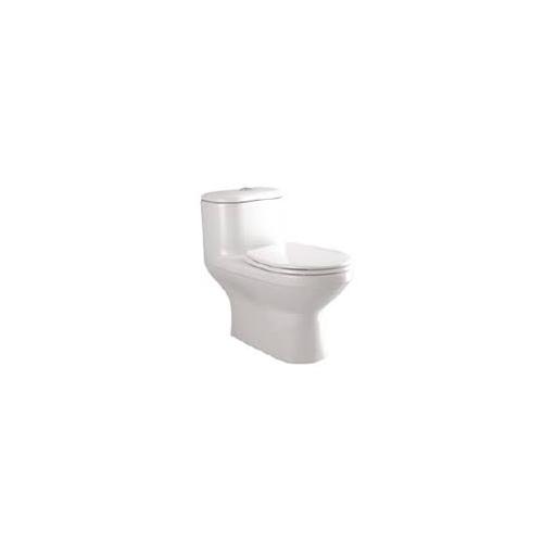 Parryware Sofia Single Piece Suite, C841D