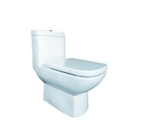 Parryware Verve Dual Outlet Single Piece Suite, C0258