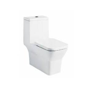 Parryware Qube Plus Single Piece Suite, C849F 