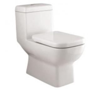 Parryware Qube Single Piece Suite, C844A