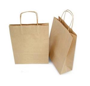 Paper Carry Bag 15x12 Inch