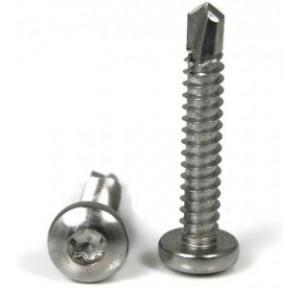 SS Self Tapping Star Drive Screw, 25x6 mm (Pack of 1000 Pcs)