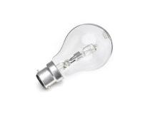 Surya Incandescent Bulb 60W B22 Base