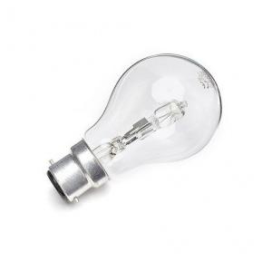 Surya Incandescent Bulb 60W B22 Base